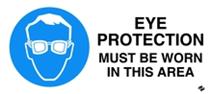 Mandatory - Eye Protection Must be Worn in this Area